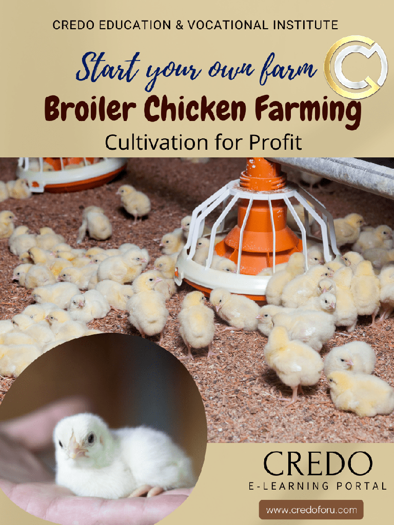 [broiler-chicken-farming] BROILER CHICKEN FARMING