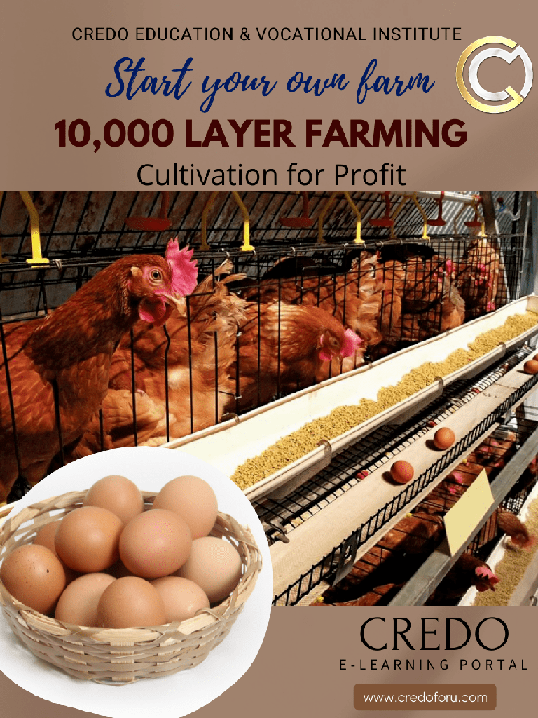 [ten-thousand-layer-farming] TEN THOUSAND LAYER FARMING