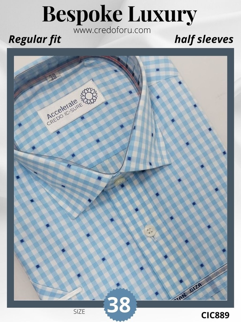 [blue-and-white-checks-raymond-shirt-889] Blue and white checks Raymond shirt(889)