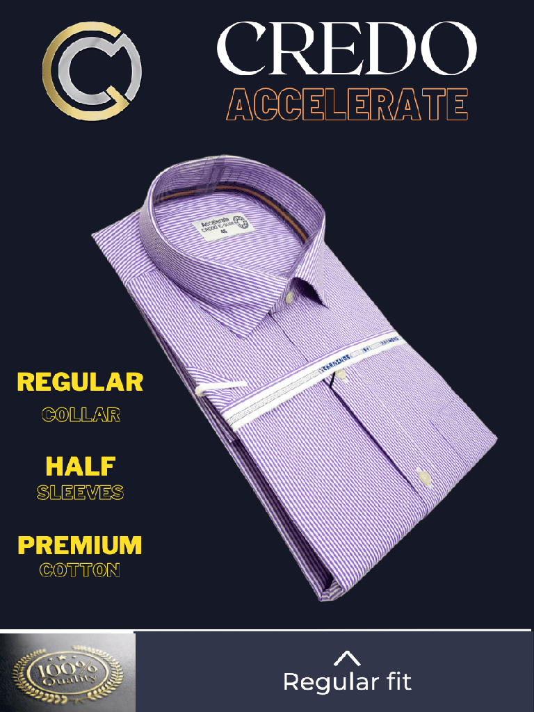 Raymond Fabric Mauve Check Formal Shirt