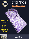 Raymond Fabric Mauve Check Formal Shirt