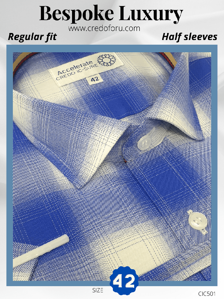 Raymond Fabric Check formal Shirt