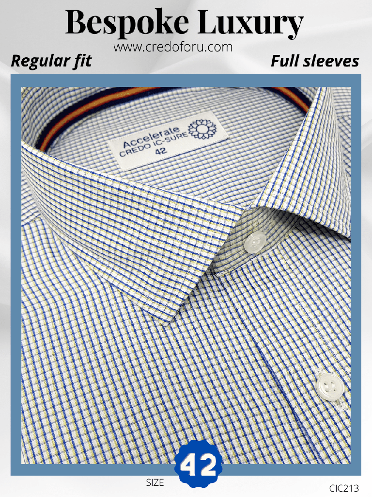 Raymond Fabric Blue Check White Formal Shirt(213)