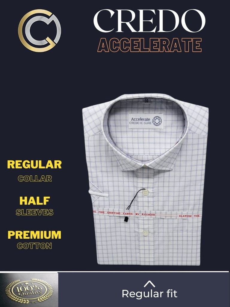 White Grey Check Formal Shirt