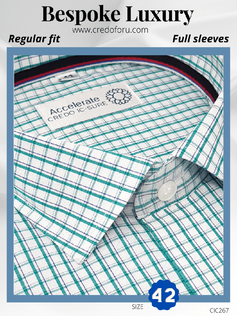 Raymond Fabric Green White Check Formal Shirt (267)